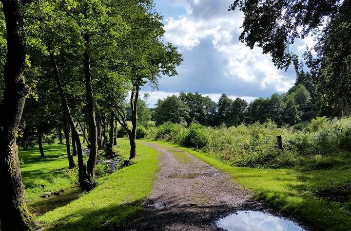 wandelen in de ardennen