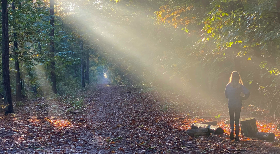 5 natuurparken in België die je kunt bezoeken